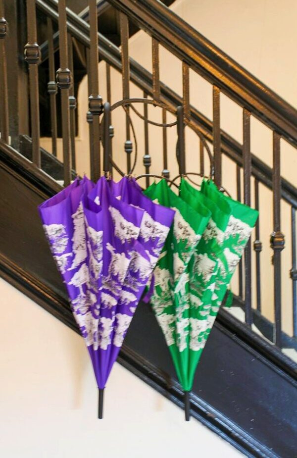 Harlem Toile Umbrellas - Original - Image 12