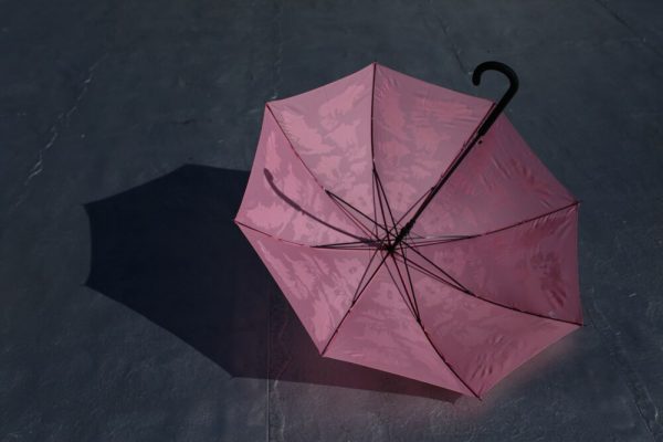Harlem Toile Umbrellas - Original - Image 4