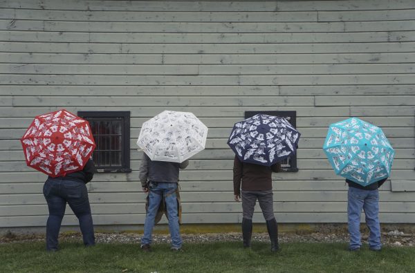 Harlem Toile Umbrellas - Image 7