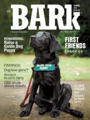 Bark - Summer 2019