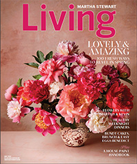 Martha Stewart Living May 2020